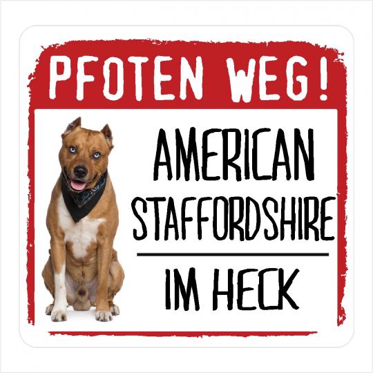 American Staffordshire Terrier PFOTEN WEG 