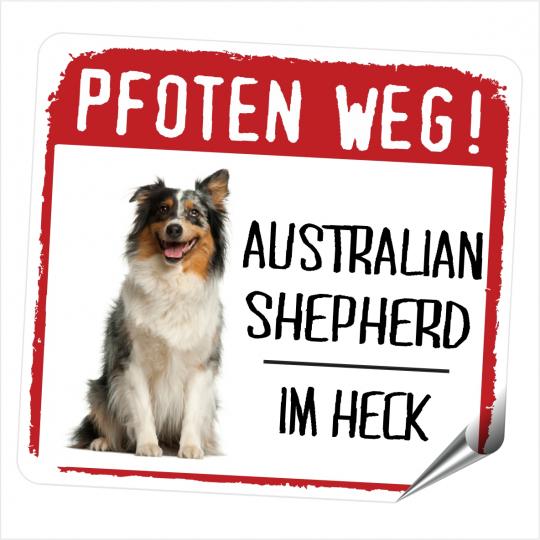 Australian Shepherd 2 PFOTEN WEG 