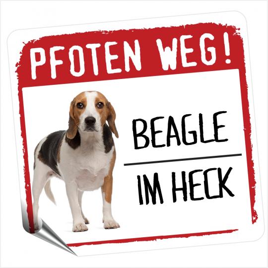 Beagle 1 PFOTEN WEG 
