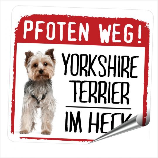 Yorkshire Terrier PFOTEN WEG 